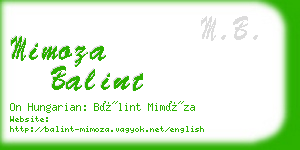 mimoza balint business card